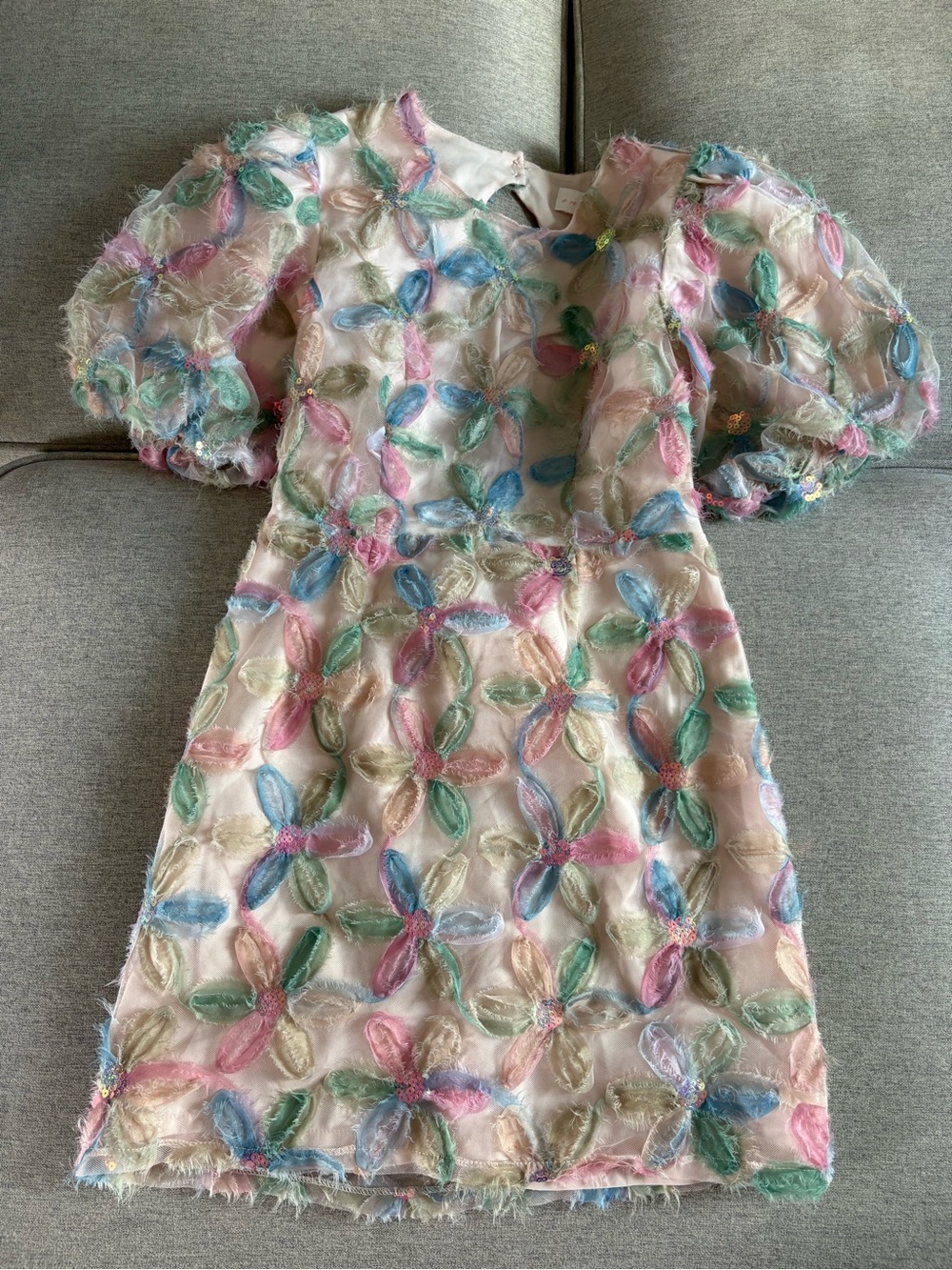 Entro Floral and Sequin Puff-Sleeve Dress